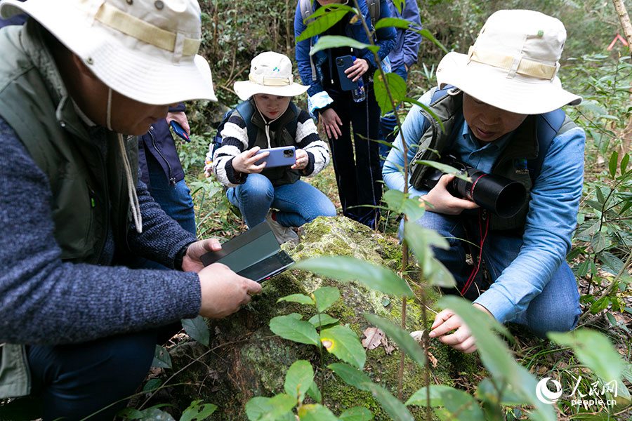 專家們深入福建省光澤縣寨里鎮(zhèn)境內(nèi)考察武夷山國家公園西區(qū)森林生態(tài)系統(tǒng)。人民網(wǎng) 焦艷攝