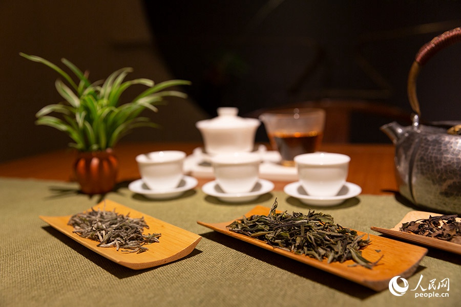 優(yōu)越的生態(tài)環(huán)境和精湛制茶技藝，造就了政和茶葉獨(dú)特的品質(zhì)。人民網(wǎng) 焦艷攝