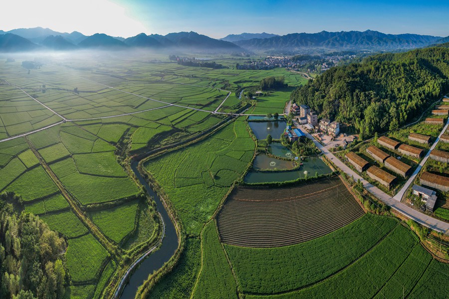 寧化縣泉上鎮(zhèn)生態(tài)宜居美麗鄉(xiāng)鎮(zhèn)之景。黃尉峰攝