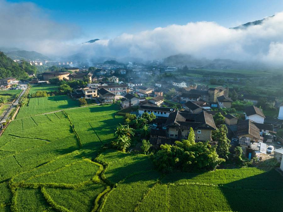 8月12日清晨，在南靖縣，云霧纏繞下，土樓與一旁的農(nóng)田構(gòu)成一幅絕美的綠色生態(tài)畫卷。馮木波攝