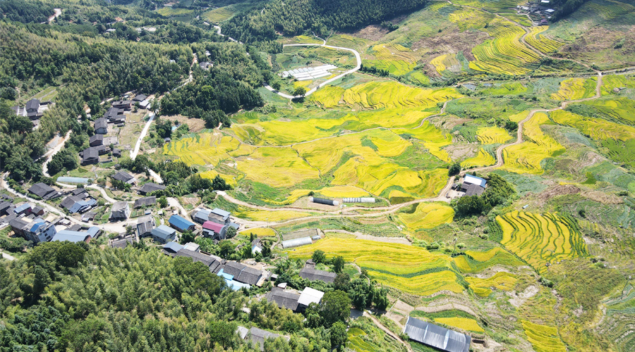 位于三明尤溪縣的聯(lián)合梯田是全球重要農(nóng)業(yè)文化遺產(chǎn)，層層疊疊的萬(wàn)畝梯田，稻浪飄香。吳振湖、黃功興攝