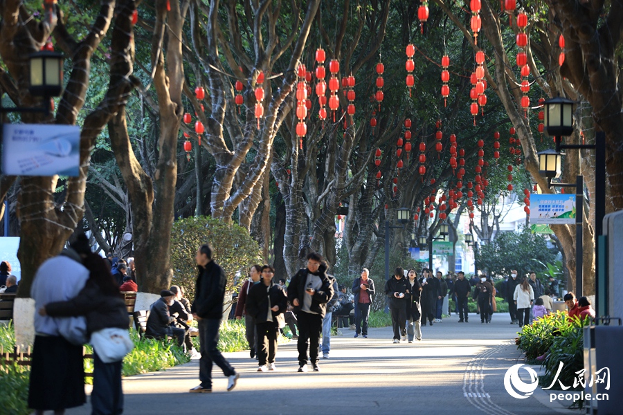 思明區(qū)中山公園年味漸濃。人民網(wǎng)記者 陳博攝